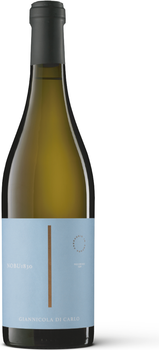 노부 1830 페코리노 (Nobu 1830 Pecorino) 와인병 이미지